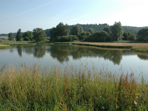 Stillgewässer Nesselwangen im Biotopverbund Bodensee. Foto: Sindy Bublitz