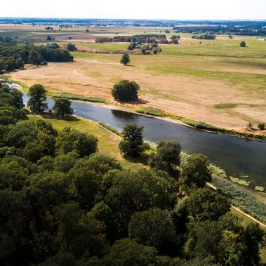 Ein mehrjähriges Großprojekt für die biologische Vielfalt und das ökologische Gleichgewicht im Elbtal beginnt.