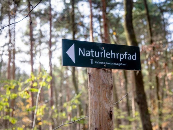 Seit dem 20. November 2017 können Besucher in Sielmanns Naturlandschaft Groß Schauen den 1,5 km langen Naturlehrpfad zwischen der Fischerei Köllnitz und dem großen hölzernen Aussichtsturm am Großen Wochowsee erkunden. Foto: Ralf Donat