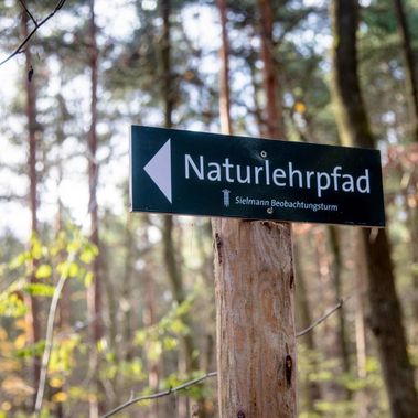 Seit dem 20. November 2017 können Besucher in Sielmanns Naturlandschaft Groß Schauen den 1,5 km langen Naturlehrpfad zwischen der Fischerei Köllnitz und dem großen hölzernen Aussichtsturm am Großen Wochowsee erkunden. Foto: Ralf Donat