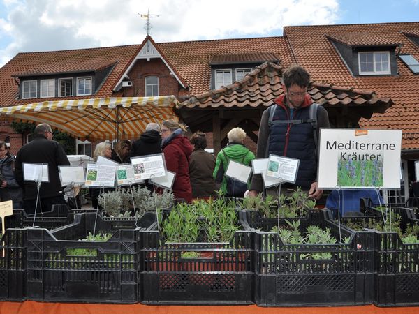 Fit in den Frühling mit einem vielfältigen Angebot von Kräutern und Jungpflanzen. Foto: Heinz Sielmann Stiftung