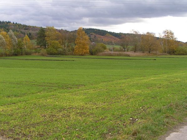 Vorher: Die Fläche am Nesselwanger Ried, in Sielmanns Biotopverbund Bodensee, war eine intensiv genutzte Wiese. Foto: Markus Wolf