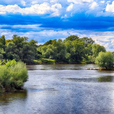 Breiter Fluss, gerahmt an den Ufern mit Bäumen.