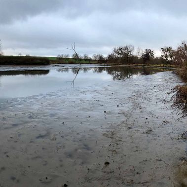 Pfützen statt Teich: Der nur noch niedrige Wasserstand im Dezember 2024 offenbart den schlammigen Grund des künstlich angelegten Gewässers. 