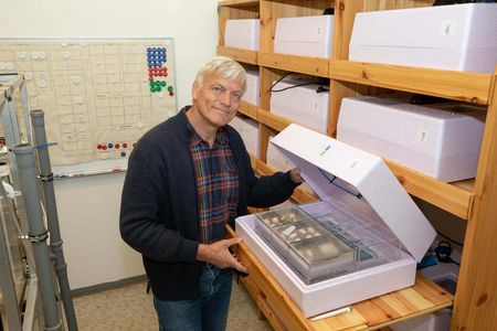 Dr. Norbert Schneeweiß zeigt die Brutkästen