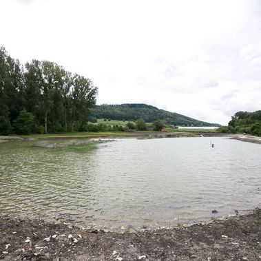 Einweihung des 34. Biotops im Biotopverbund Bodensee in Rielasingen-Worblingen am 11.07.2017. Foto: Christina Georgi