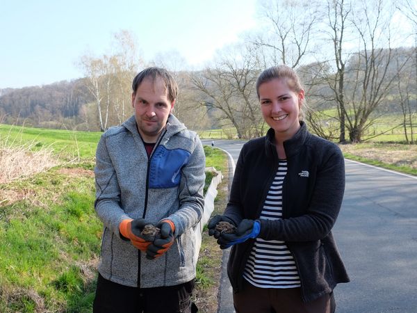 Andreas Ehbrecht und Clara-Marie Homeyer mit je einem „Doppeldecker“ – ein paarungsbereites Männchen auf dem Rücken eines Weibchens, das sich während der Wanderung huckepack zum Gewässer tragen lässt. Da es in Erdkrötenpopulationen deutlich weniger Weibchen als Männchen gibt, geschieht dieses nicht aus Bequemlichkeit, sondern sichert die Partnerfindung.