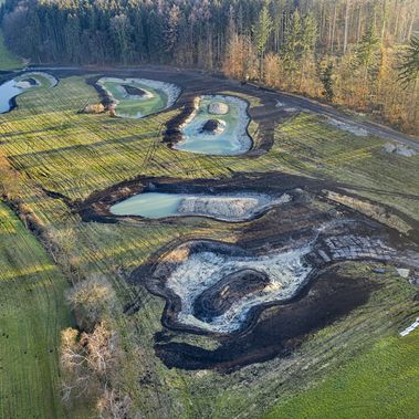 Ende November 2020 sind die fünf neuen Weiher schon gut zu erkennen.