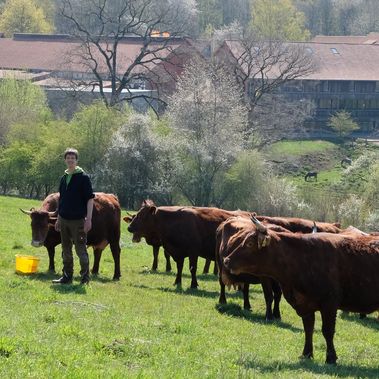 Landwirt Daniel Wehmeyer und seine Gut Herbigshagener Herde.