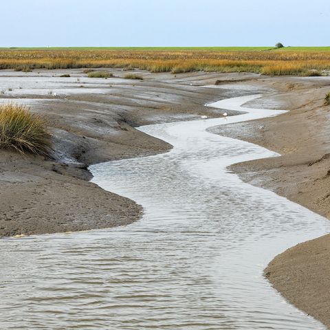 Ein verbliebener Wasserlauf des gefluteten Langwarder Grodens, der noch verblieben während der Ebbe