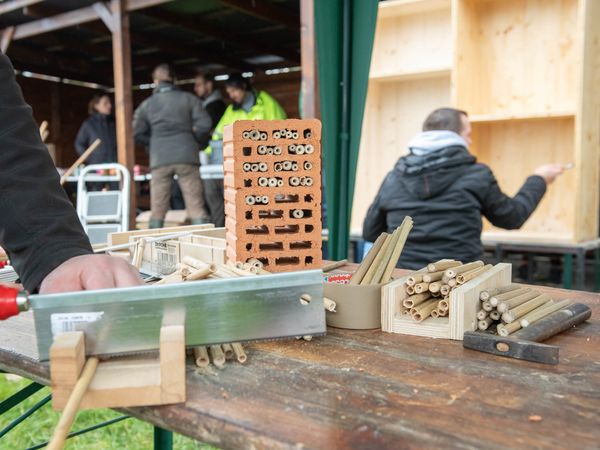 Das Nistmaterial für das Insektenhotel wird zugeschnitten. Foto: Bianca Fröbus / Fotowerk BF