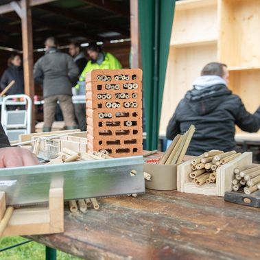 Das Nistmaterial für das Insektenhotel wird zugeschnitten. Foto: Bianca Fröbus / Fotowerk BF