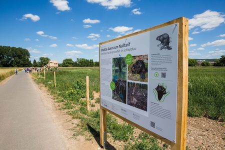 Infotafel mit dem Titel "Intakte Auen zum Nulltarif" entlang des Wanderweges in der Biotop-Landschaft am Flüthewehr in Göttingen