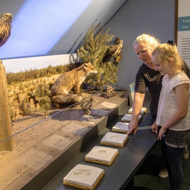 Interaktive Elemente in der neuen Ausstellung laden zum Mitmachen ein.