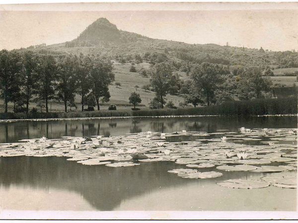 Eine Schwarz-Weiß-Aufnahme des Alten Binninger Sees aus dem Jahr 1930 zeigt vorn den See mit Seerosen, im Hintergrund ein Berg und Wald