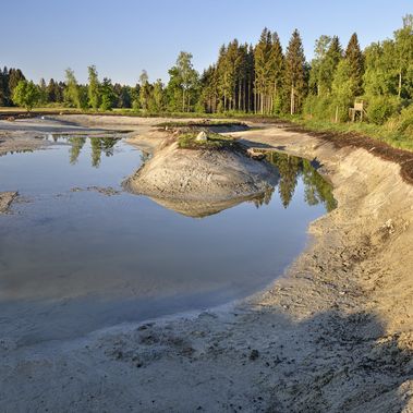 Die Baumaschienen sind abgezogen, der Weiher füllt sich langsam mit Wasser. Erste Pflanzen erobern die Inseln bereits.