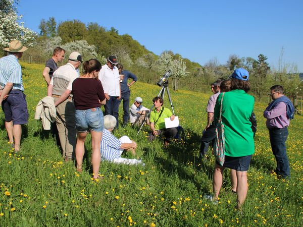 Die Streuobstwiese "Konstantinhalde" war das erste Exkursionsziel des Jahres in Sielmanns Biotopverbund Bodensee. Foto: Heinz Sielmann Stiftung