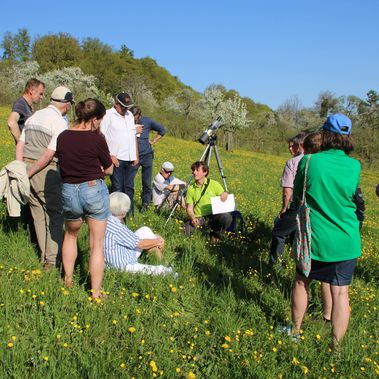 Die Streuobstwiese "Konstantinhalde" war das erste Exkursionsziel des Jahres in Sielmanns Biotopverbund Bodensee. Foto: Heinz Sielmann Stiftung