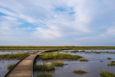 Ein Holzsteg führt über die Ebbe-Landschaft des Langwarder Groden am Wattenmeer