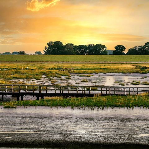 Sonnenuntergang in einer Wattenmeer-Landschaft am Langwarder Groden mit einer Brücke, im Hintergrund Bäume