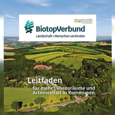 Titelseite des Leitfadens des bundesweiten BiotopVerbund-Projekts