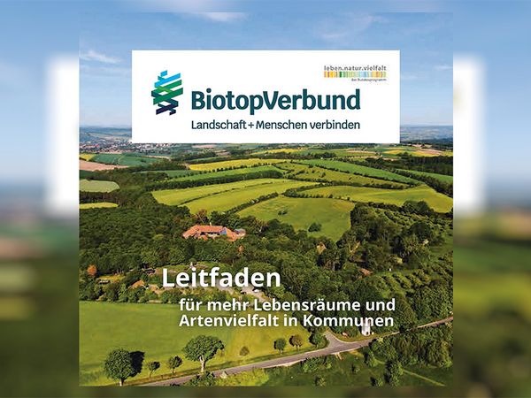 Titelseite des Leitfadens des bundesweiten BiotopVerbund-Projekts