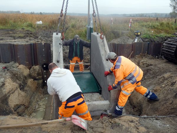 Baumaßnahme im Ferbitzer Bruch: Einsatz eines Klappenwehrs am 28.10.2024.