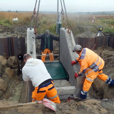 Baumaßnahme im Ferbitzer Bruch: Einsatz eines Klappenwehrs am 28.10.2024.