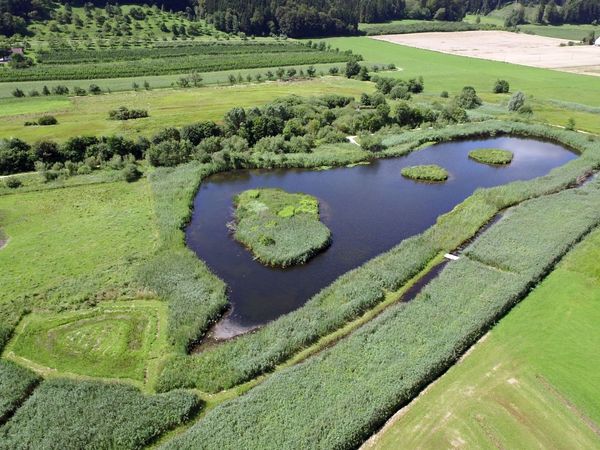 Heinz-Sielmann-Weiher. Foto: Andreas Hammer