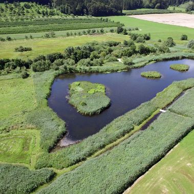 Heinz-Sielmann-Weiher. Foto: Andreas Hammer