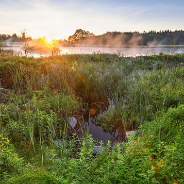 Naturlandschaft bei Tagesanbruch